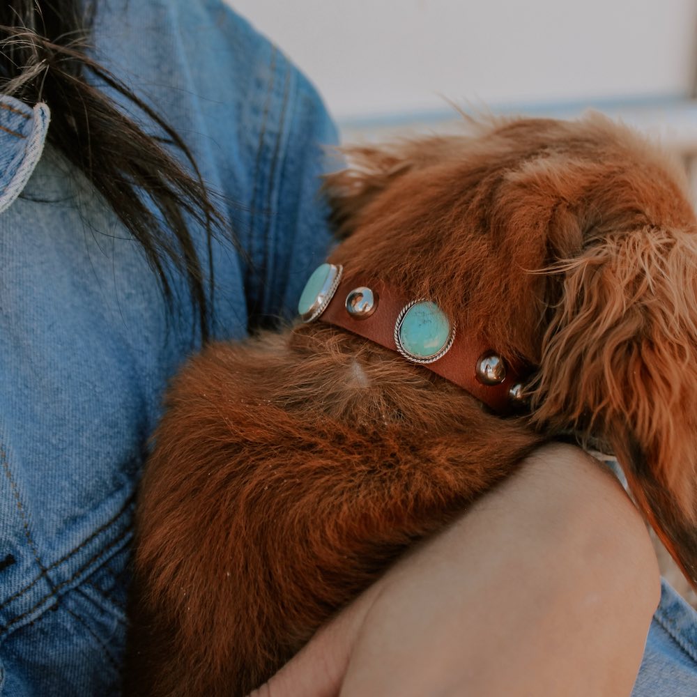 Leather dog collar shop with turquoise stones